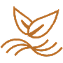 Benefit Icon