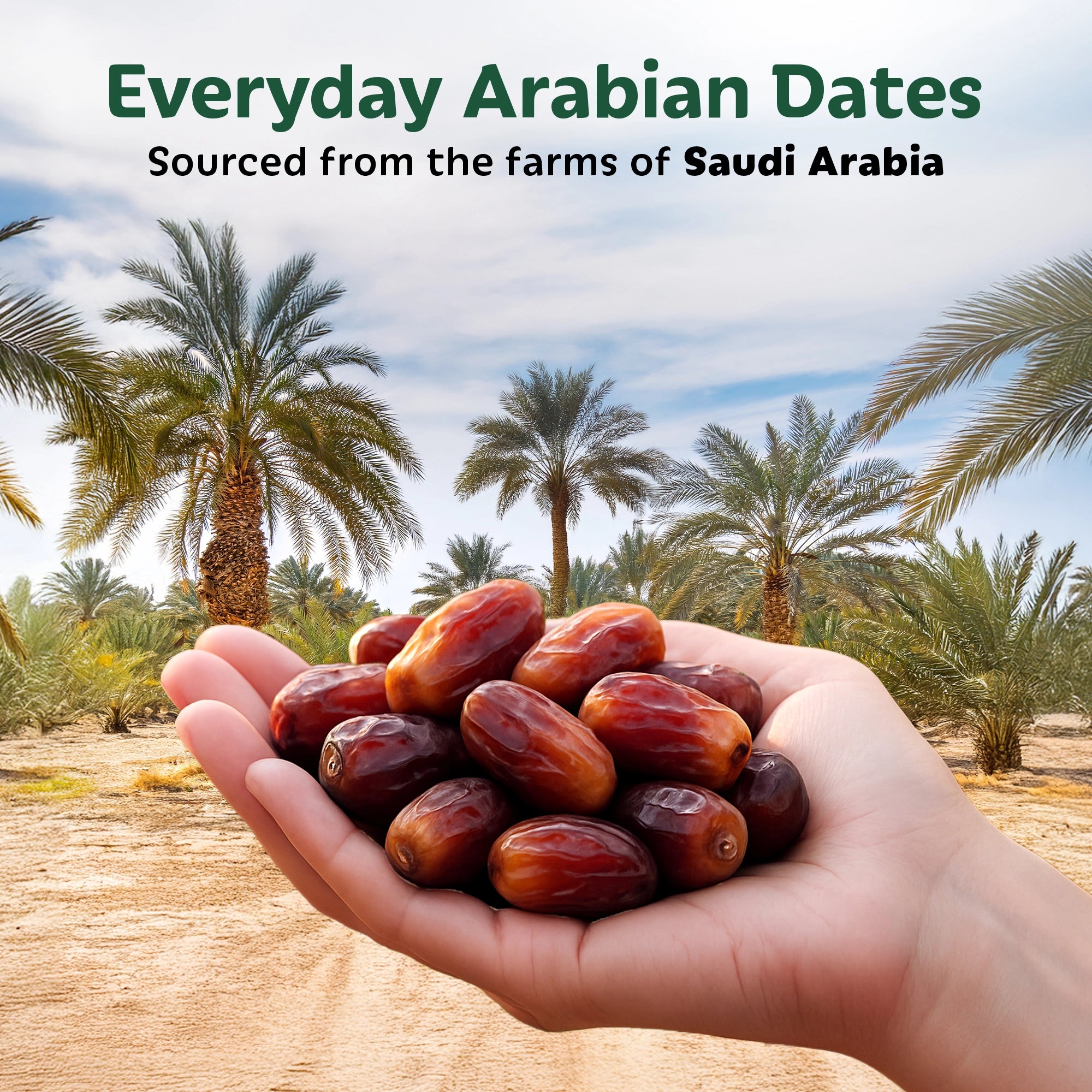SOULLY EVERYDAY ARABIAN DATES