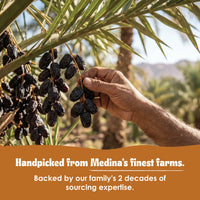 Sacred Ajwa Dates