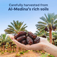 SOULLY SIGNATURE SAFAWI DATES